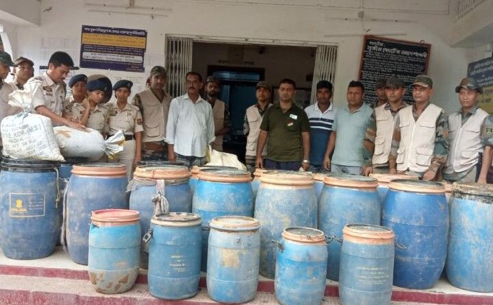 বক্সনগরে যৌথ বাহিনীর বড় সাফল্য, উদ্ধার ৯৭৯ কেজি গাঁজা